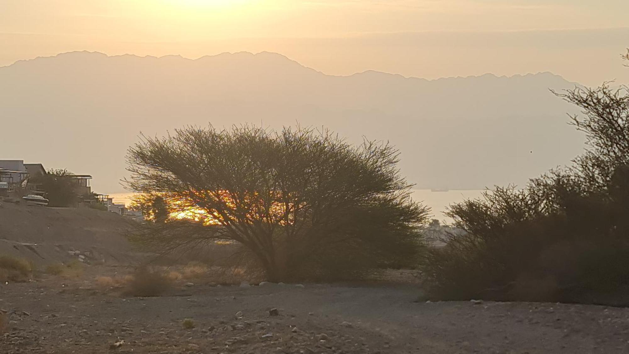 המשפחתית המפנקת של רחל * Eilat